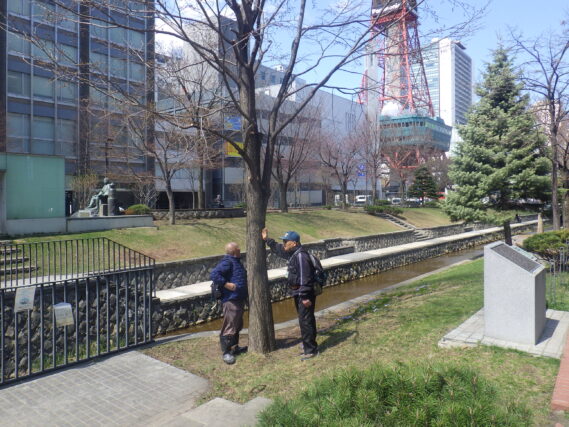 樹名板付けをする植物ボランティア