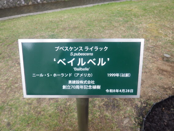 ライラック「ベイベル」の樹名板