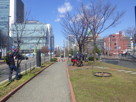 樹名板付けをする植物ボランティア