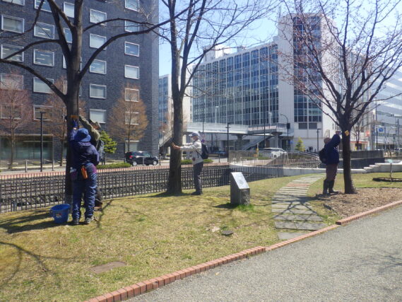 樹名板付けをする植物ボランティア