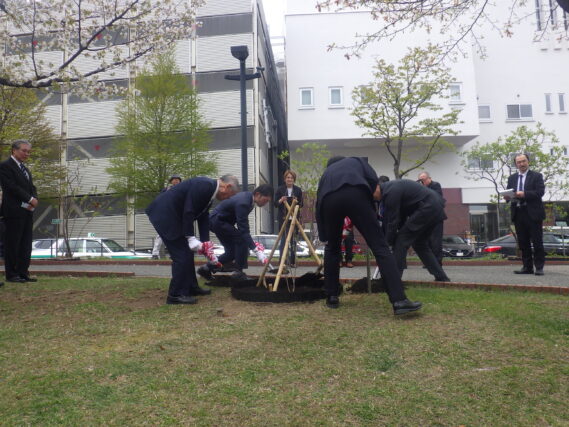 ライラックの植樹の様子