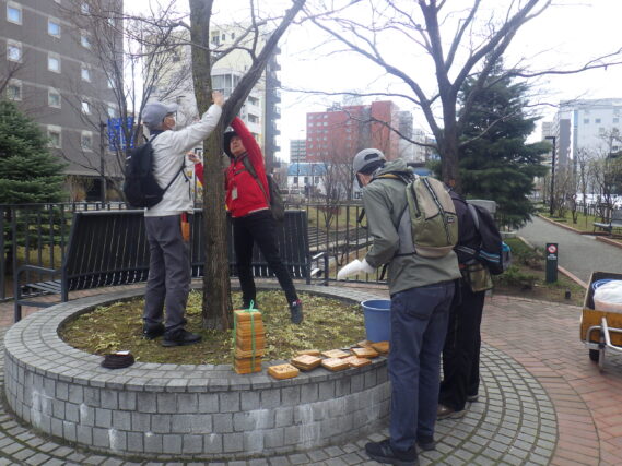 樹名板付けをする植物ボランティア