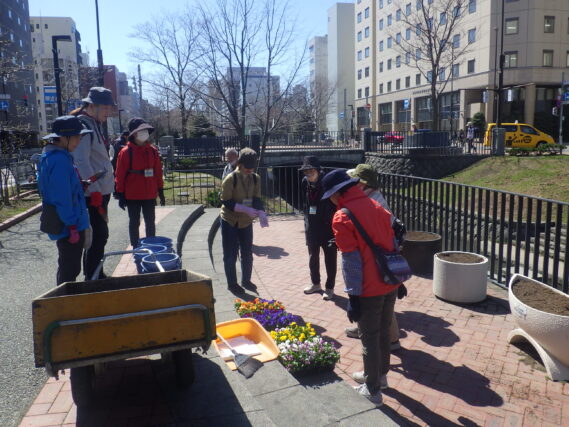 花くらぶ植込み開始