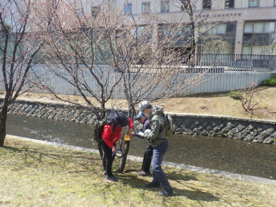 樹名板付けをする植物ボランティア