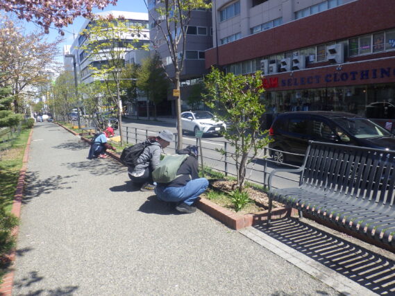 花壇の除草をするお助け隊