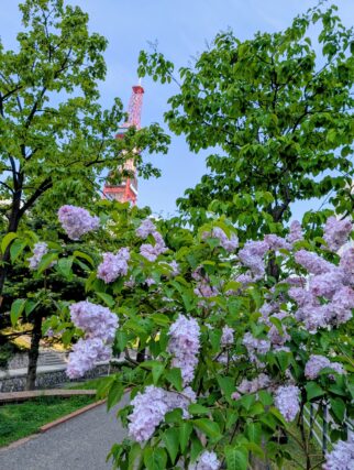 ライラック投稿写真010出勤前の寄り道