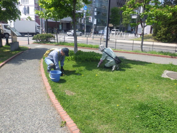 まんなか広場で除草作業をする除草ボランティア