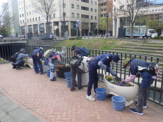 コンテナ花壇のお手入れをする花くらぶ