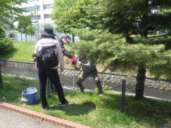 樹名板の取り付けをするお助け隊