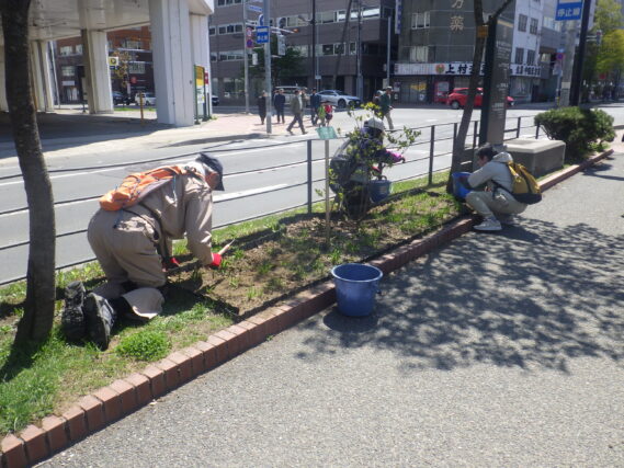 花壇の除草をするお助け隊