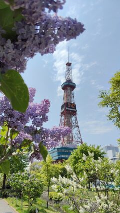 ライラック投稿写真012土曜日の散策にて