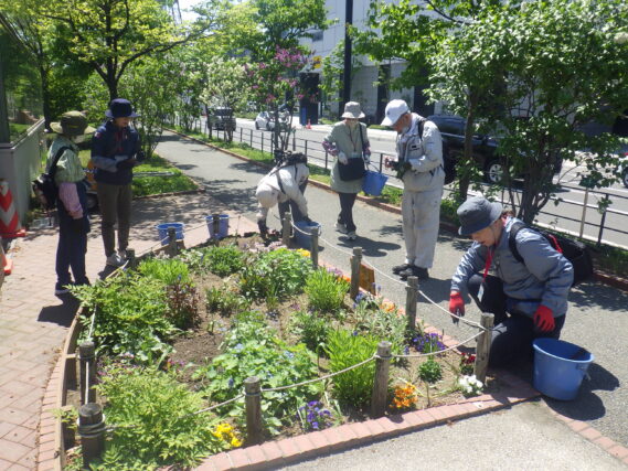 花壇のお手入れをする花くらぶ