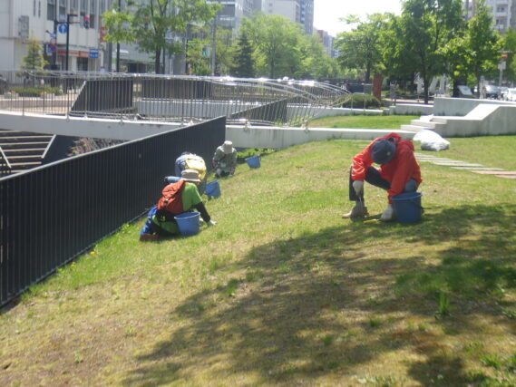 まんなか広場で除草作業をする除草ボランティア