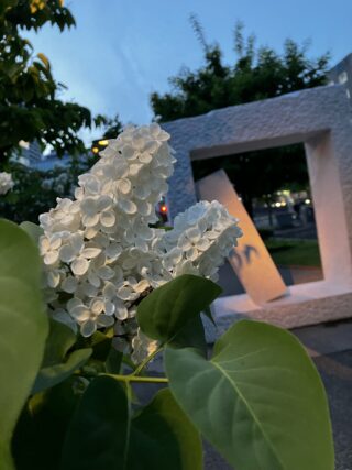 ライラック投稿写真055甘い香に包まれた生棒