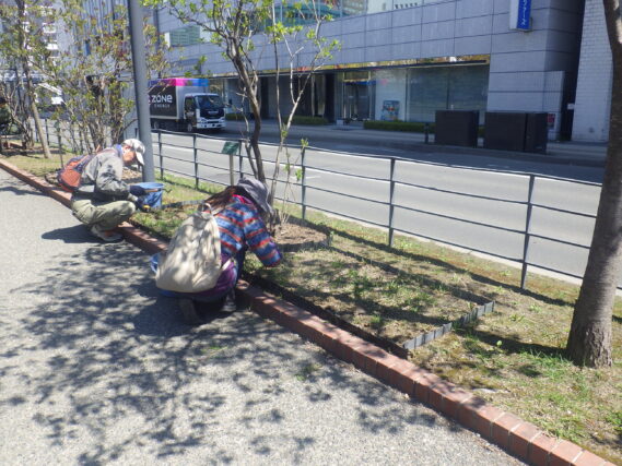 花壇の除草をするお助け隊