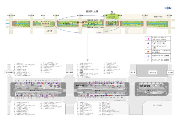 創成川公園南2条から大通ブロックのライラックの位置図の画像