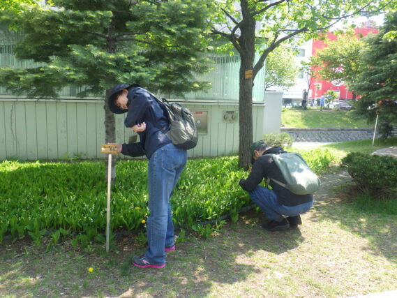 樹名板の取り付けをするお助け隊