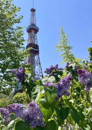 ライラック投稿写真037初めましてライラック