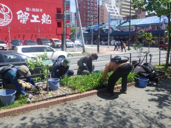 ヘメロカリス花壇の除草をする植物ボランティア