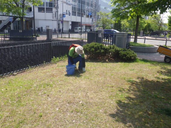 まんなか広場で除草作業をする除草ボランティア