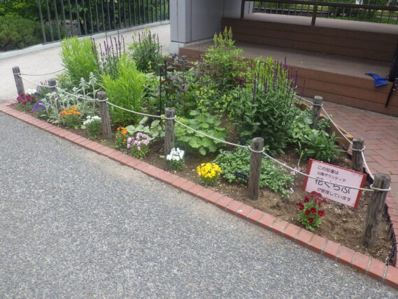 花壇の様子