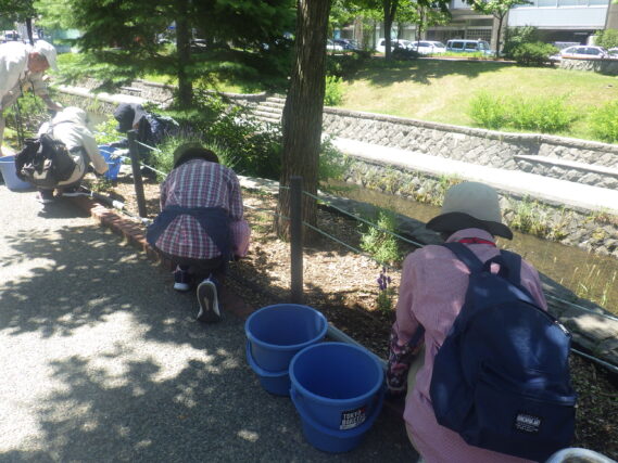 花壇のお手入れをする花くらぶ