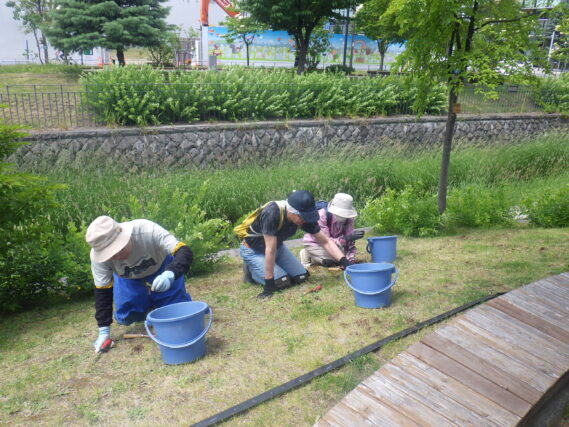 芝生斜面で除草をする除草ボランティア