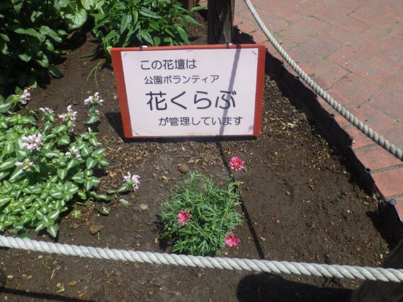 花くらぶ花壇の看板