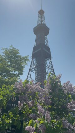 ライラック投稿写真099ライラックとテレビ塔