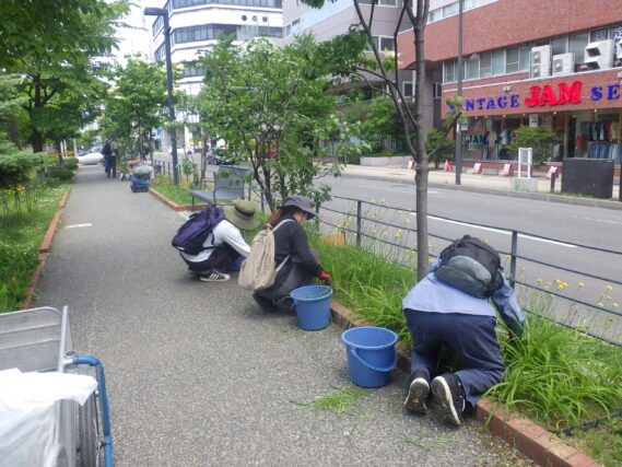 花壇の除草をするお助け隊