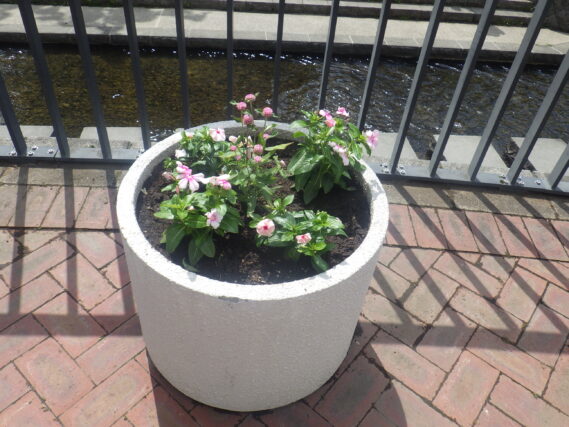 植え替えられた狸二条広場のコンテナ