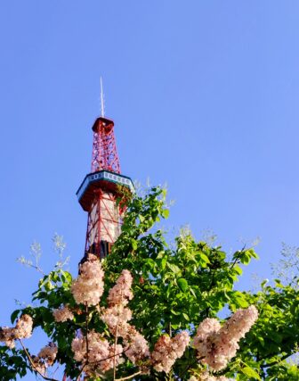 ライラック投稿写真081青空の中で