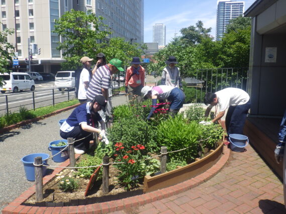 花壇のお手入れをする花くらぶと高校生ボランティア