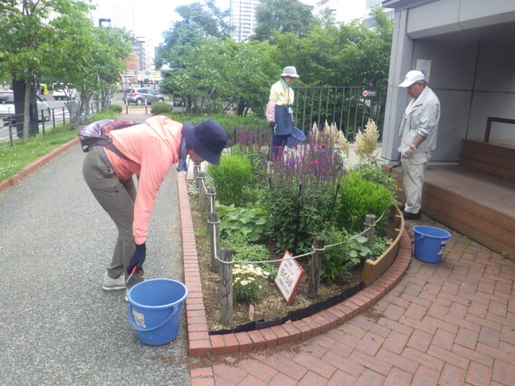 花壇のお手入れをする花くらぶ