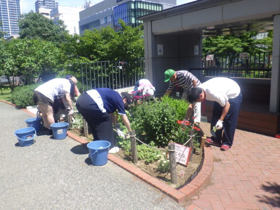 花壇のお手入れをする花くらぶと高校生ボランティア