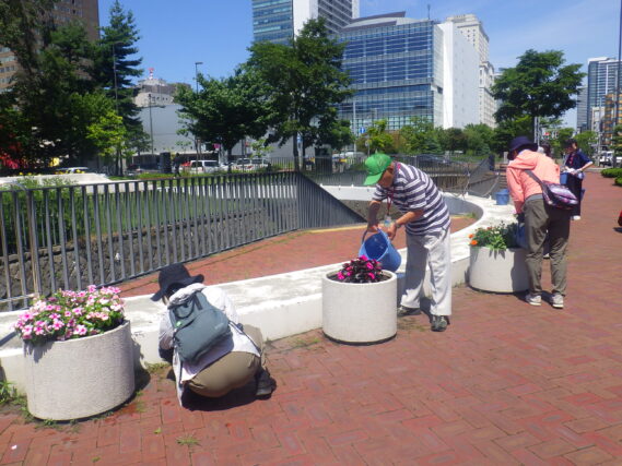 まんなか広場のコンテナのお手入れをする花くらぶ