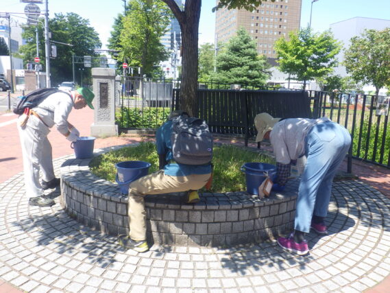 円形ますの除草をする植物ボランティア