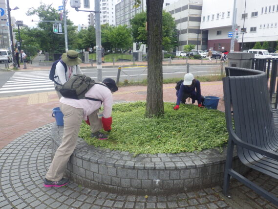 円形ますの除草をするお助け隊