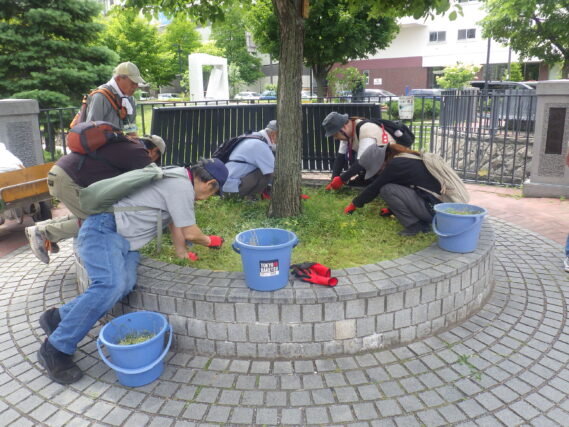 円形ますの除草をするお助け隊