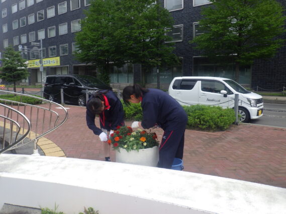 まんなか広場のコンテナの花がら摘みをする高校生ボランティア