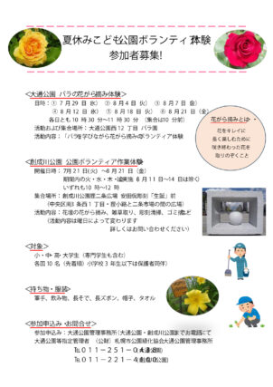 夏休みこどもボランティア体験のチラシの画像