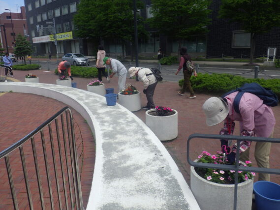 まんなか広場コンテナのお手入れをする花くらぶ