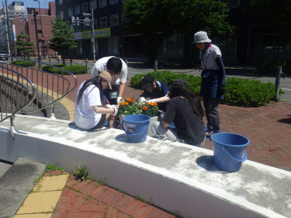 まんなか広場のコンテナの花がら摘みをする高校生ボランティア