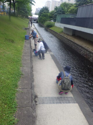 園路の除草をするお助け隊