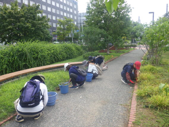 北1条の園路の除草をするお助け隊