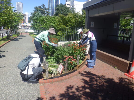 花壇のお手入れをする花くらぶ