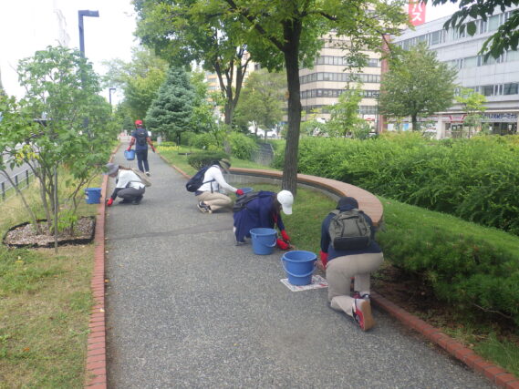北1条の園路の除草をするお助け隊
