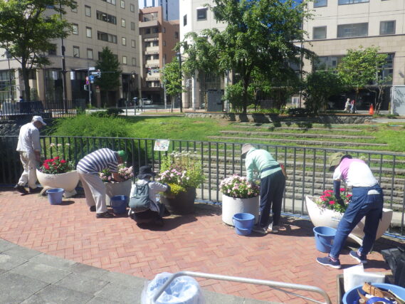 狸二条広場のコンテナ花壇のお手入れをする花くらぶ