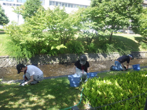 除草作業をする高校生ボランティア