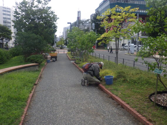 花壇と園路の除草をするお助け隊